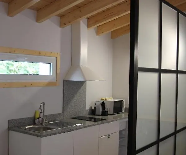 Casa Dos Gatos 劳林哈