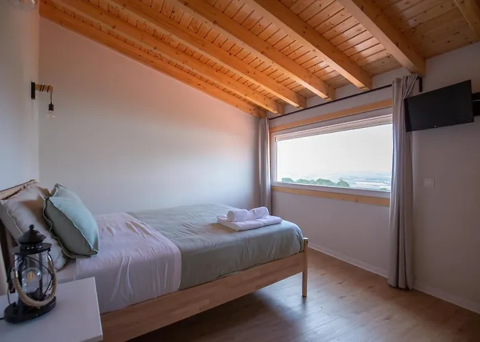 Casa Dos Gatos 劳林哈